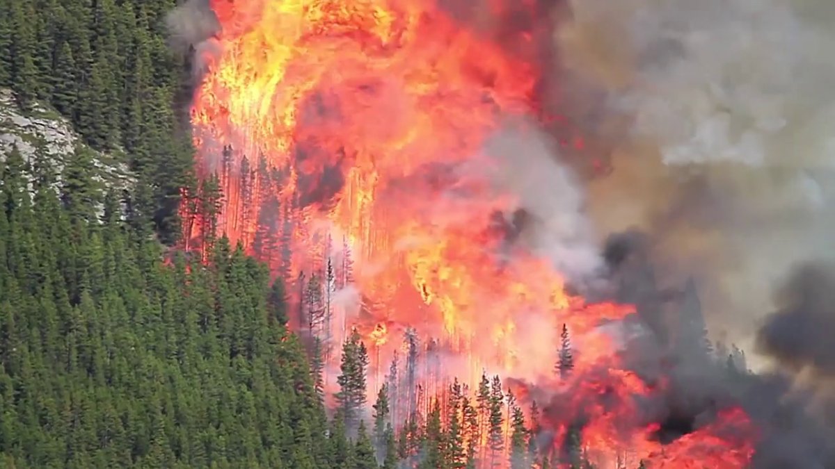 Megafires: Investigating a global threat